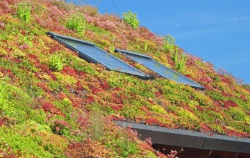 Over Knutsford living roof systems